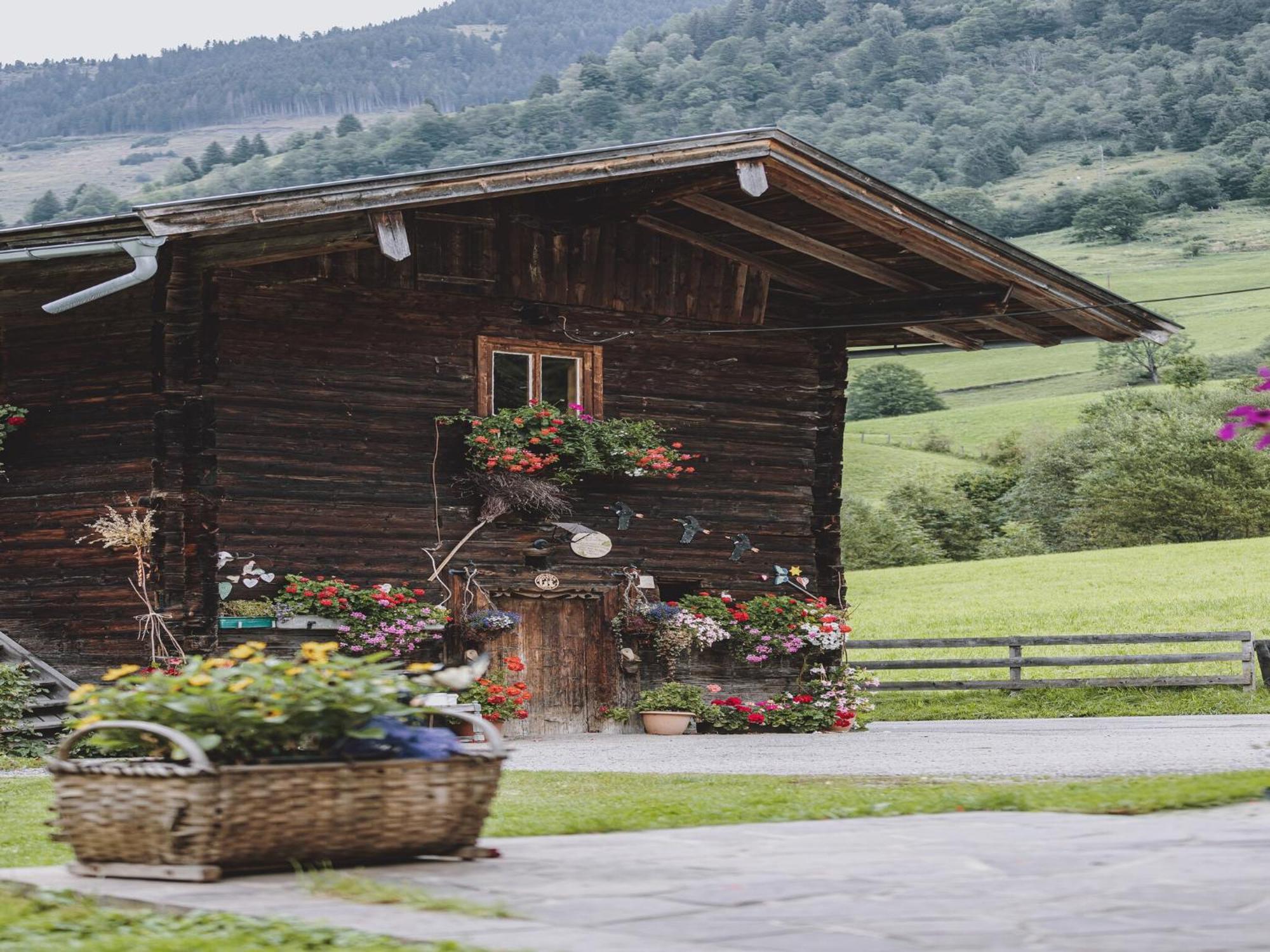 Holiday Home Fusch An Der Glocknerstra E Fusch an der Grossglocknerstrasse Exteriér fotografie